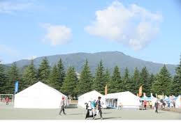 「湯沢洋行」の画像検索結果