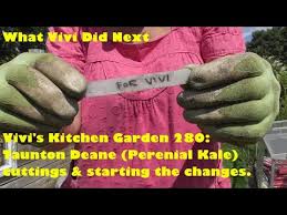 Image result for Taunton Deane