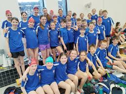 Image result for Thornaby Amateur Swimming Club
