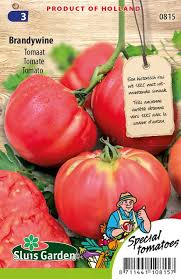 Afbeeldingsresultaat voor Pink Brandywine tomato