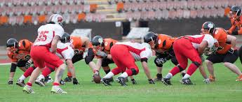 Image result for Edinburgh Wolves