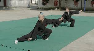 Image result for Kicking Dragon Kung Fu School, Belfast