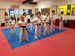 Image result for Hetton and Murton Karate Academy