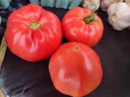 Afbeeldingsresultaat voor prudence purple tomato