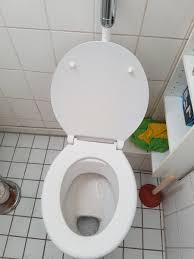 Image result for german toilet