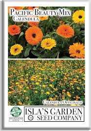 Attēlu rezultāti vaicājumam “Calendula officinalis”