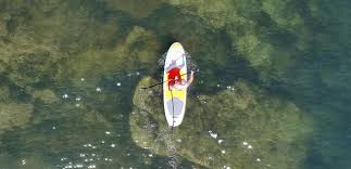 Image result for Sidmouth Badminton Club