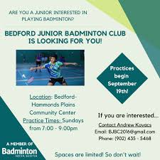 Image result for Plains Badminton Club