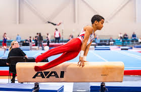 Image result for Thornton Sport Gymnastics