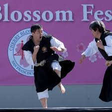 Image result for Tolworth Shorinji Kempo Branch