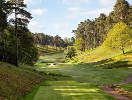 Image result for Hindhead Golf Club