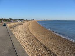 Image result for Solent and Gosport