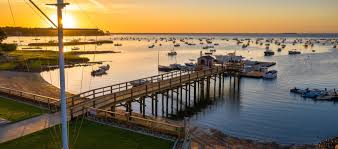 Image result for Dovey Yacht Club