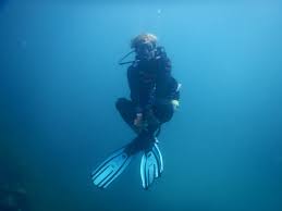 Image result for World Divers