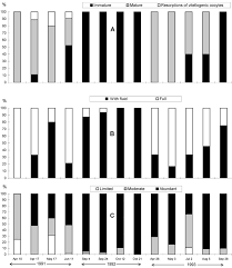 Attēlu rezultāti vaicājumam “Hippodamia notata”