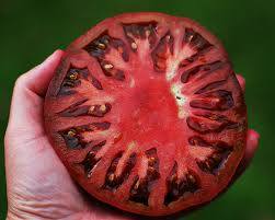 Afbeeldingsresultaat voor cherokee purple tomato