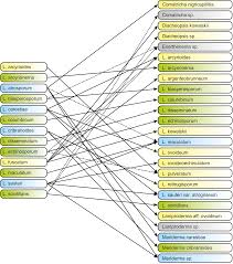Attēlu rezultāti vaicājumam “Lamproderma arcyrioides stalked”