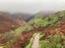 Image result for Long Mynd