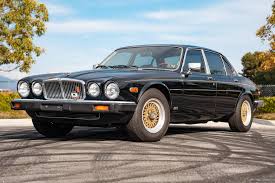 Image result for Curlew 1986 Jaguar