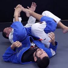 Image result for Bilsborrow Ju Jitsu Club