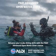 Image result for Robin Hood Dive School