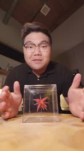 /MANKAI RED ZÖNE에 대한 이미지 검색결과