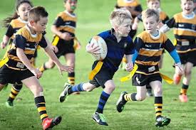 Image result for Stourport Rugby Union Football Club