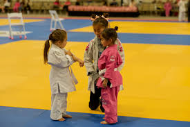 Image result for Anfield Youth Activity Centre Judo Club