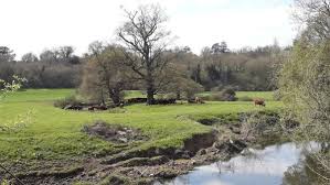 Image result for Ramblers Association - Mole Valley Group