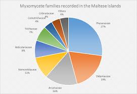 Attēlu rezultāti vaicājumam “Craterium aureonucleatum spores”