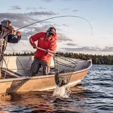 Image result for ALBION SEA FISHING CLUB