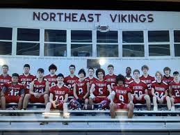 Image result for North East Vikings