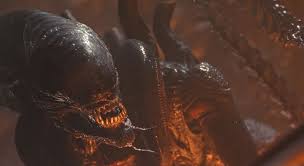 Image result for xenomorph