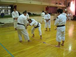 Image result for Imperial College Shorinji Kempo Society