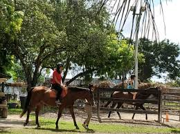 Image result for Lakes Riding Club