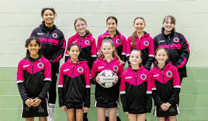 Image result for Onslow Pink Panthers Junior Netball Club