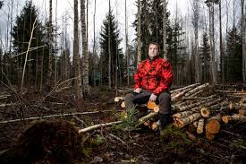 Image result for лес,