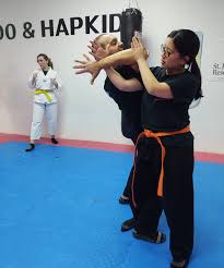 Image result for choi sul hapkido academy hapkido scotland