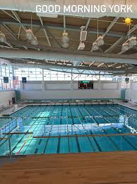 Image result for York University Pool Club