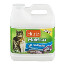 Image result for lulcatz