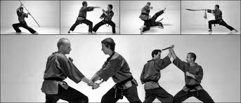 Image result for Shaolin Nam Pai Chuan Kung Fu - Manchester Martial Arts Centre