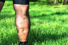 Image result for road rash motorcycle