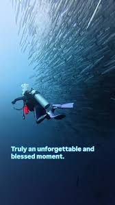 Image result for Tornado Divers