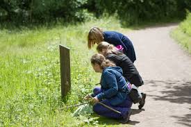 Image result for Dartford Orienteers (DFOK)