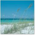 Gulf Islands National Seashore - Explore Pensacola Beach