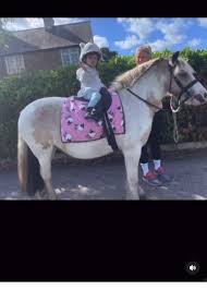Image result for Weybridge Equestrian Centre
