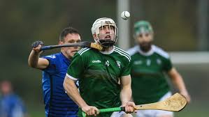 Image result for World of Shinty