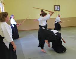 Image result for West Midlands Aikido Association Dojo