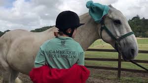 Image result for Cambridge University Riding Club