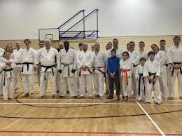Image result for Sandokai Karate